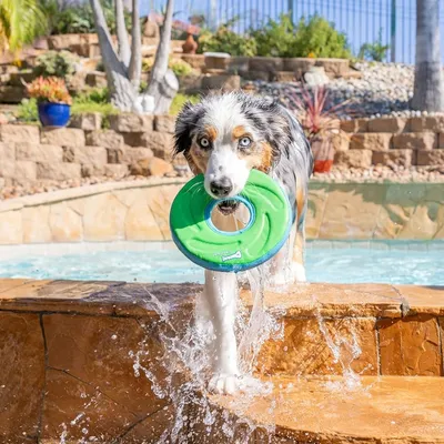 MCBOSON Taille M Vert Flottant Planant Frisbee Chien MCBOSON Taille M Vert Flottant Planant Frisbee Chien