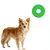MCBOSON Taille M Vert Flottant Planant Frisbee Chien MCBOSON Taille M Vert Flottant Planant Frisbee Chien