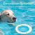 FurryFusion Jouet pour chiens: Anneau, boule et frisbee résistants