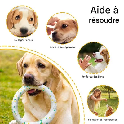 FurryFusion Jouet pour chiens: Anneau, boule et frisbee résistants
