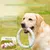 FurryFusion Jouet pour chiens: Anneau, boule et frisbee résistants