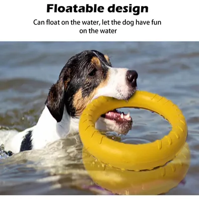 Zoomtopia Disque flottant petit chien EVA jaune indestructible Zoomtopia Disque flottant petit chien EVA jaune indestructible