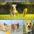 Zoomtopia Disque flottant petit chien EVA jaune indestructible Zoomtopia Disque flottant petit chien EVA jaune indestructible