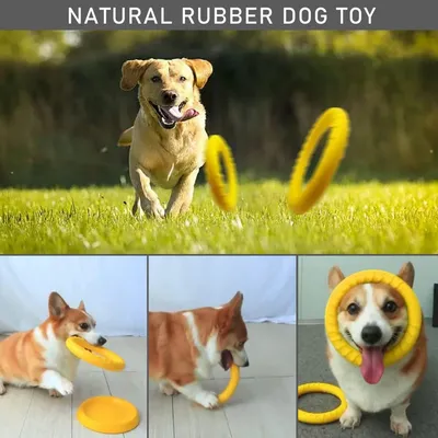 Zoomtopia Disque flottant petit chien EVA jaune indestructible Zoomtopia Disque flottant petit chien EVA jaune indestructible