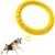 Zoomtopia Disque flottant petit chien EVA jaune indestructible Zoomtopia Disque flottant petit chien EVA jaune indestructible