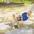 PetTribes Lot de 4 Frisbees Chien Corde Coton Toile Oxford PetTribes Lot de 4 Frisbees Chien Corde Coton Toile Oxford