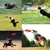 PetTribes Lot de 4 Frisbees Chien Corde Coton Toile Oxford PetTribes Lot de 4 Frisbees Chien Corde Coton Toile Oxford