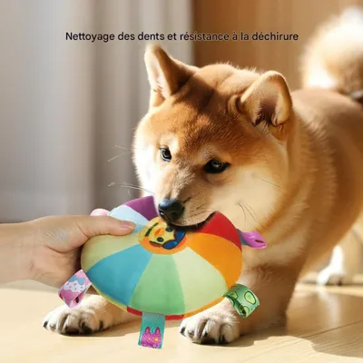FurryFusion Disque volant pour chien FurryFusion Disque volant pour chien