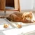 ZooVenture Souris Interactive Chat - Peluche, Vibrante, Sonore