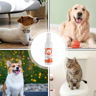 MCBOSON Spray d'entraînement à la défécation pour chiots 120 ml