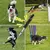 PetTribes Sifflet Chien Sifflet Ultrason Training