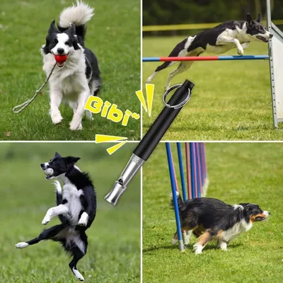 PetTribes Sifflet Chien Sifflet Ultrason Training