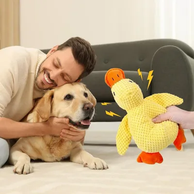ZooVenture Jouet Canard Plush Chien Jaune