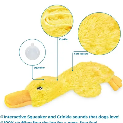 ZooVenture Jouet Chien Canard Peluche - Doux, Sonore, Antisalissant