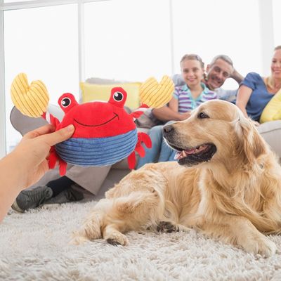 FurryFusion Jouet chien petit format sonore résistant à la denture