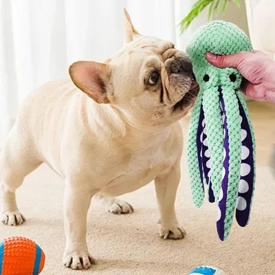 ZooVenture Jouet Poulpe Chien - Interactif, Resistant, Turquoise ZooVenture Jouet Poulpe Chien - Interactif, Resistant, Turquoise