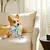 ZooVenture Jouet Poulpe Chien - Interactif, Resistant, Turquoise ZooVenture Jouet Poulpe Chien - Interactif, Resistant, Turquoise