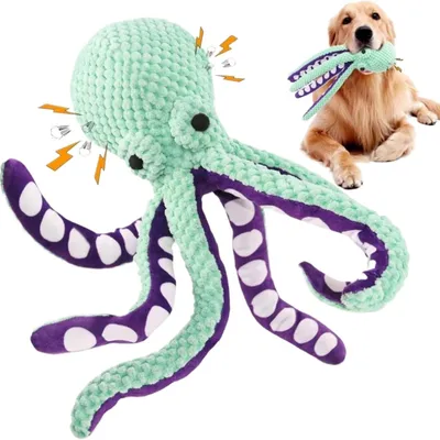 ZooVenture Jouet Poulpe Chien - Interactif, Resistant, Turquoise ZooVenture Jouet Poulpe Chien - Interactif, Resistant, Turquoise