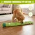 ZooVenture Jouet Chien Vert Son Nettoyage Dents