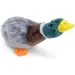 Zoomtopia Jouet Chiens canard qui couine sans rembourrage multicolore