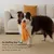 FurryFusion Jouet bruissant pour chien en forme de poulpe FurryFusion Jouet bruissant pour chien en forme de poulpe
