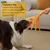 FurryFusion Jouet bruissant pour chien en forme de poulpe FurryFusion Jouet bruissant pour chien en forme de poulpe