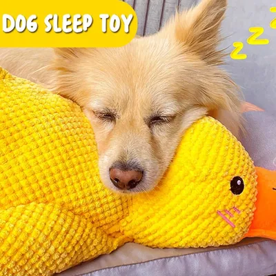 PetTribes - Jouet Peluche Canard pour Chien 35cm, Sifflet Intérieur PetTribes - Jouet Peluche Canard pour Chien 35cm, Sifflet Intérieur