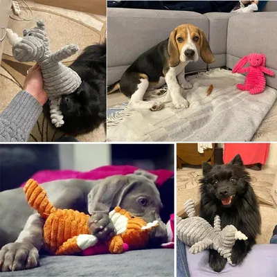 Pawffee Jouet pour petits chiens en forme de lion - Jouet en peluche Pawffee Jouet pour petits chiens en forme de lion - Jouet en peluche