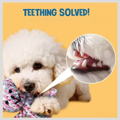 Pawffee Jouet de nettoyage dentaire en forme d'ours en peluche pour chiens Pawffee Jouet de nettoyage dentaire en forme d'ours en peluche pour chiens