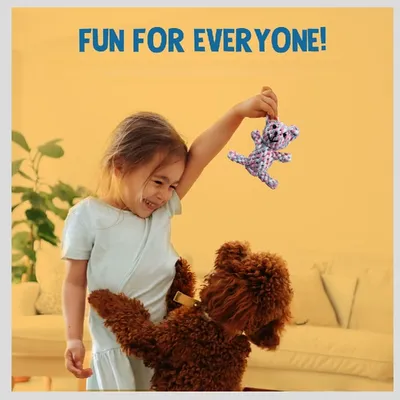 Pawffee Jouet de nettoyage dentaire en forme d'ours en peluche pour chiens Pawffee Jouet de nettoyage dentaire en forme d'ours en peluche pour chiens
