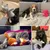 Pawffee chiot en peluche-jouet qui fait du bruit pour chien Pawffee chiot en peluche-jouet qui fait du bruit pour chien