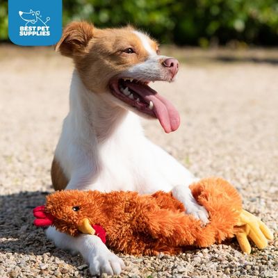 Zoomtopia Jouet poulet froissé chien marron peluche