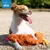 Zoomtopia Jouet poulet froissé chien marron peluche Zoomtopia Jouet poulet froissé chien marron peluche