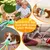 FurryFusion Grand jouet bruissant pour chien en peluche FurryFusion Grand jouet bruissant pour chien en peluche