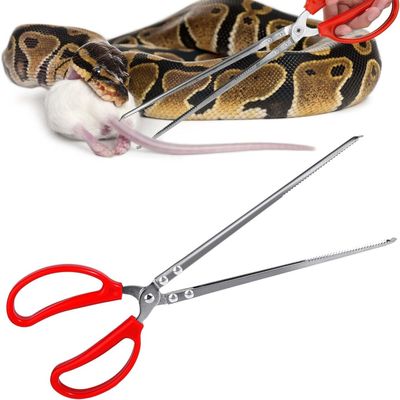 ZooVenture Distributeur Nourriture Serpent - Inox, 38cm, Antidérapant