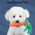 ZooVenture Jouet Mâcher Chien Coton 4 Pièces