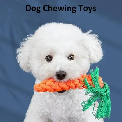 ZooVenture Jouet Mâcher Chien Coton 4 Pièces