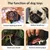 ZooVenture Jouet Mâcher Chien Coton 4 Pièces