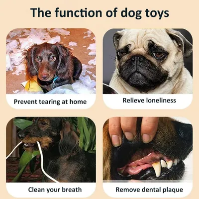 ZooVenture Jouet Mâcher Chien Coton 4 Pièces