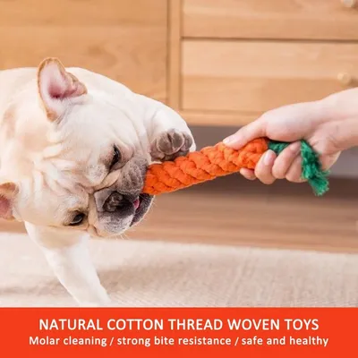 ZooVenture Jouet Mâcher Coton Chien 2 Pièces
