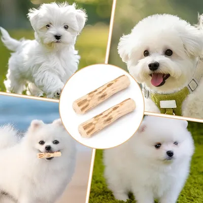 PetTribes 2er Olivenholz Kauspielzeug für Hunde, Größe S