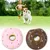 PetTribes Jouet Donut Latex pour Chien Lot de 2 Sonette PetTribes Jouet Donut Latex pour Chien Lot de 2 Sonette