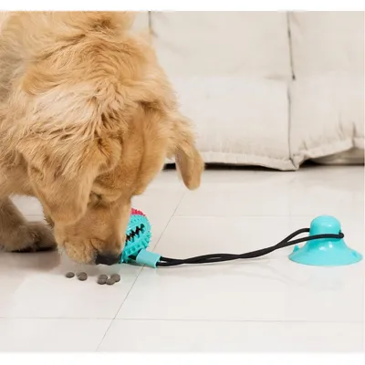 PetTribes Jouet Chien SuctionBall