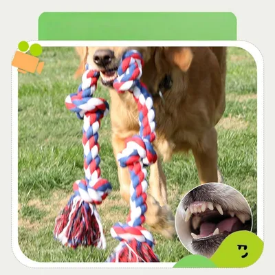 FurryFusion Jouet en corde pour grands chiens FurryFusion Jouet en corde pour grands chiens