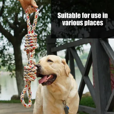 PetTribes Jouet Corde Chien Durable Nettoyage Dentaire