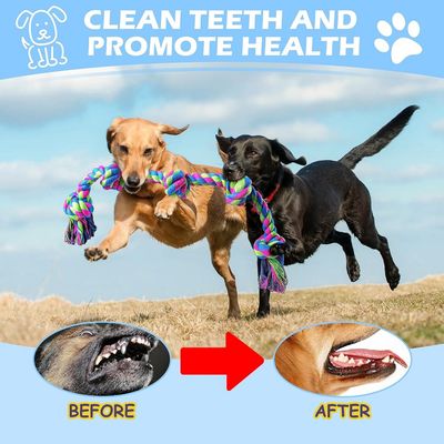 PetTribes Jouet Corde Chien 95cm, 100% Coton Naturel, 5 Nœuds