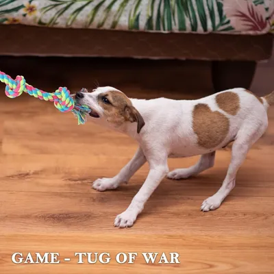 PetTribes Spielzeug Seilhund 95 cm, 100% natürliche Baumwolle, 5 Knoten