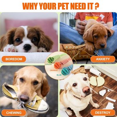 PetTribes Jouet Balles à Mâcher Chien