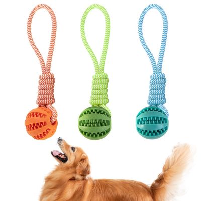 PetTribes Jouet Balles à Mâcher Chien
