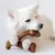 Zoomtopia Jouet bacon Jouet pour Chiens nylon mâcheur compulsif chien Zoomtopia Jouet bacon Jouet pour Chiens nylon mâcheur compulsif chien